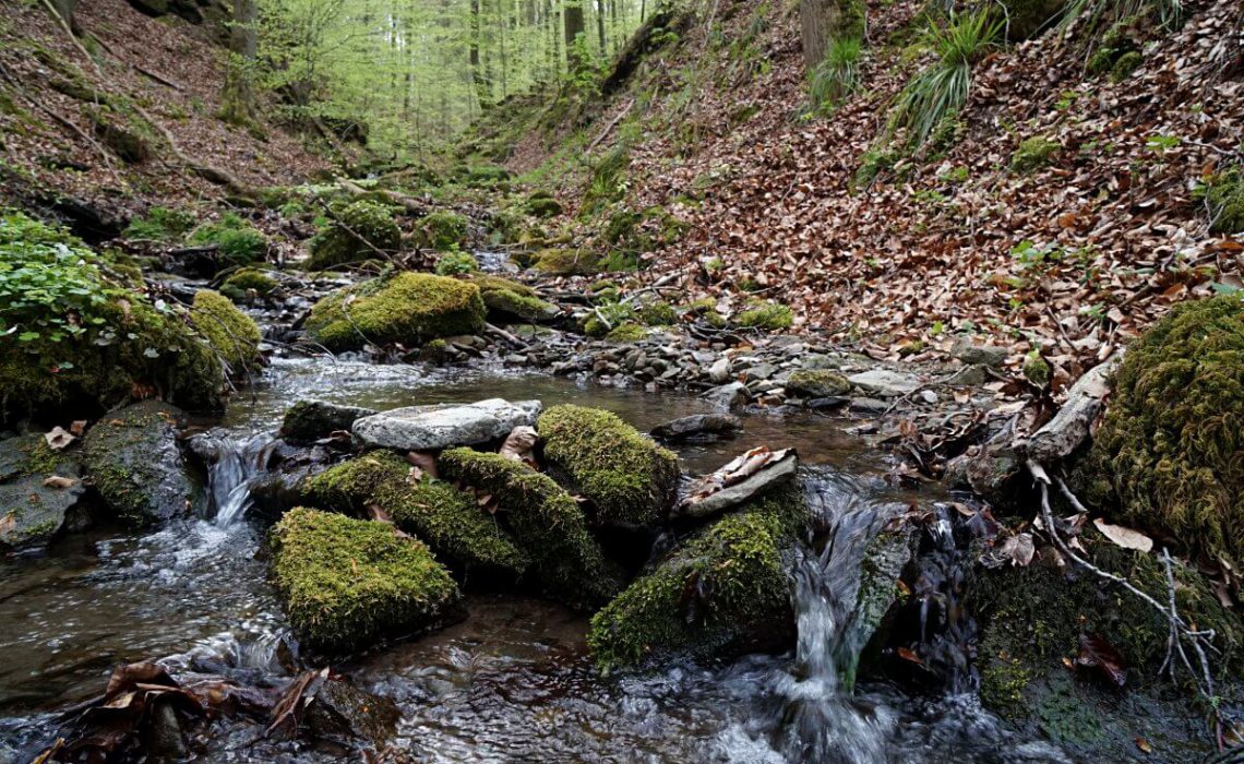 Kalksklinge in Hohenlohe Mainhardt