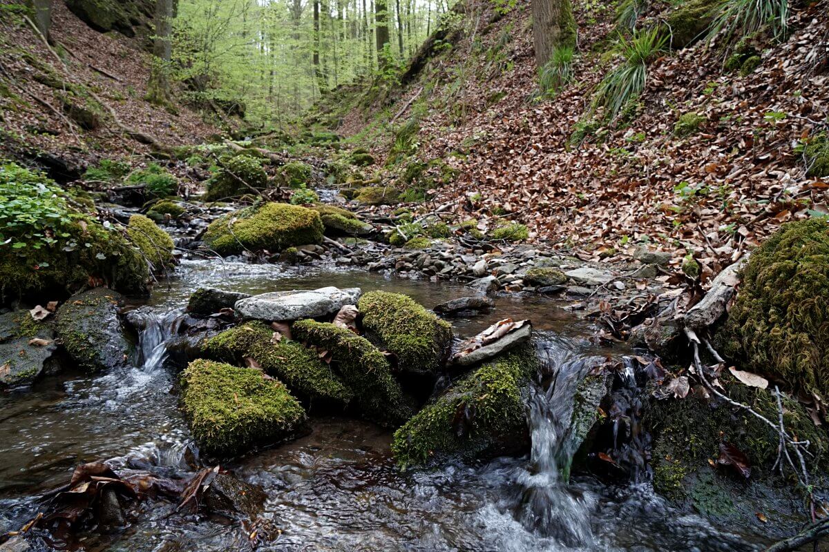 Kalksklinge in Hohenlohe Mainhardt