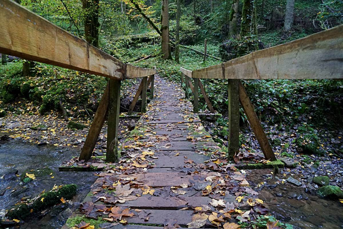 Auf Bruecken Pfaden durch die Wieslaufschlucht bei Welzheim