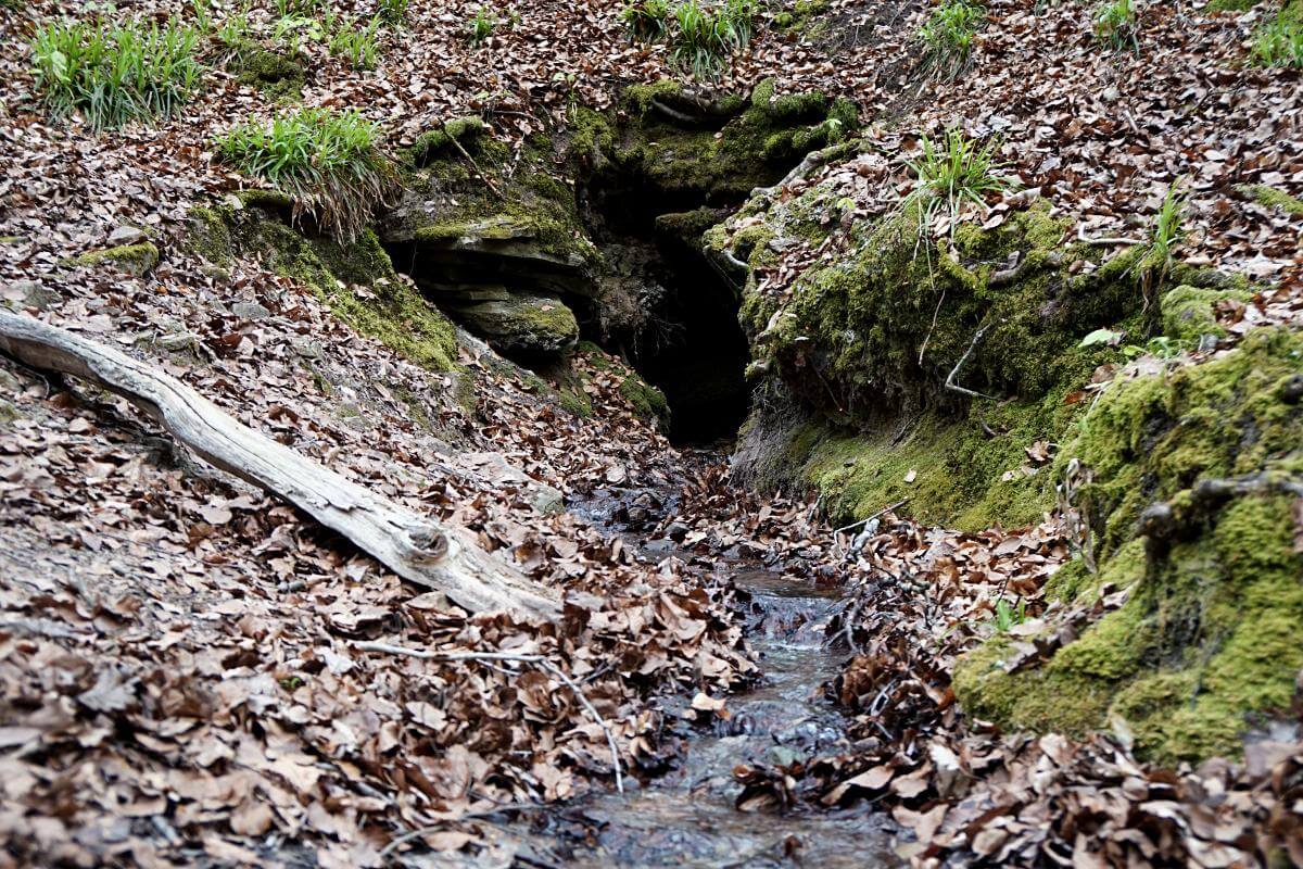 Der Kalksbrunnen in der Kalksklinge bei Untersteinbach in Hohenlohe