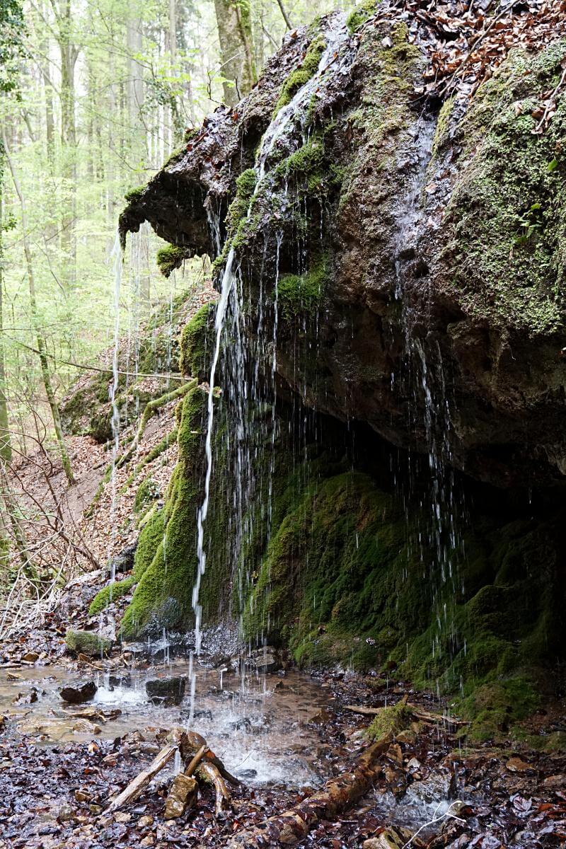 Ein kleiner Wasserfall bildet sich durch das aus dem Kalksbrunnen fließende Quellwasser