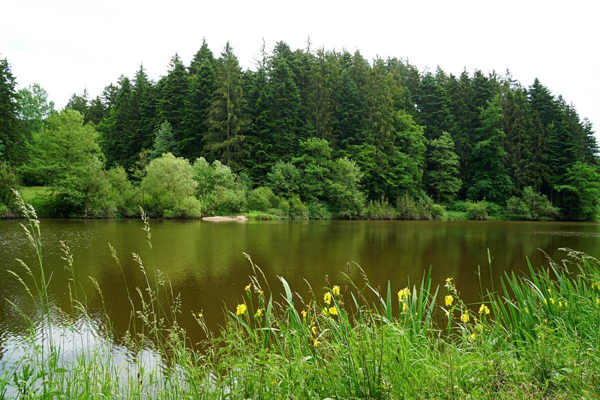 Huettenbuehlsee auf dem Muehlenwanderweg