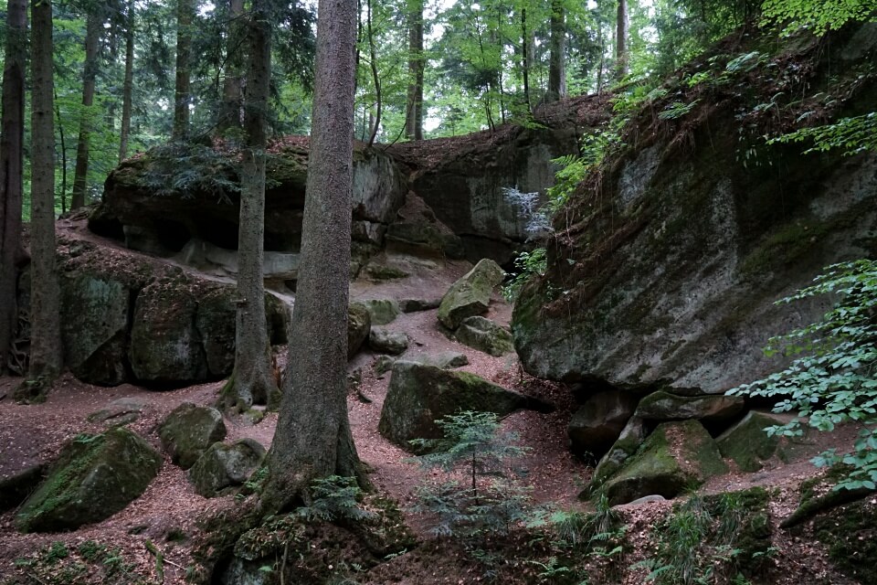 Haegeles und Brunnenklinge auf dem Muehlenwanderweg im Schwaebischen Wald