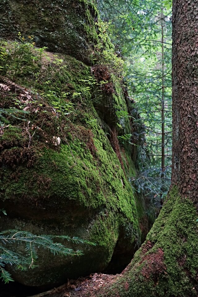 Brunnenklinge Schwäbischer Wald Gschwend