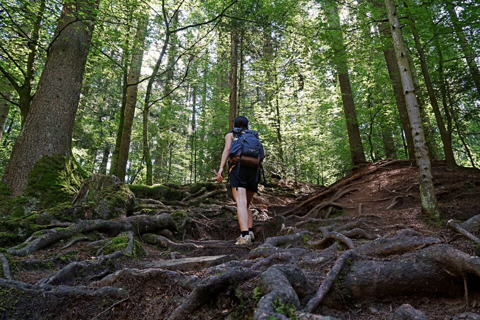 Aufstieg in die Brunnen und Haegelesklinge im Welzheimer Wald