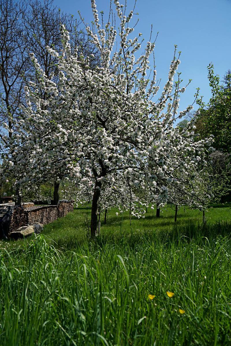 Natur im Jagsttal auf dem Pfad der Stille Doerzbach