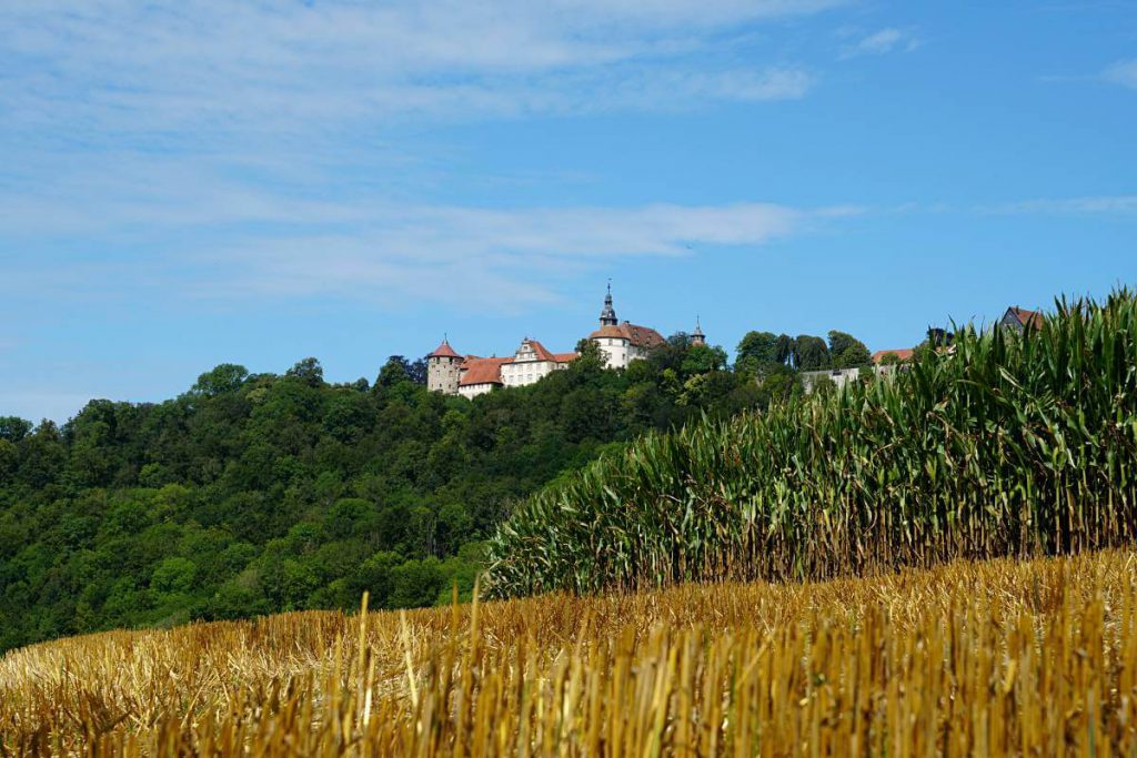 Hohenlohe • Landgezwitscher Hohenlohe