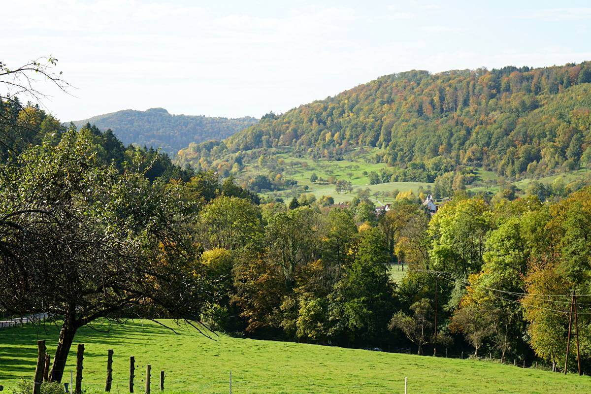 Schwaebischer Wald Landschaft