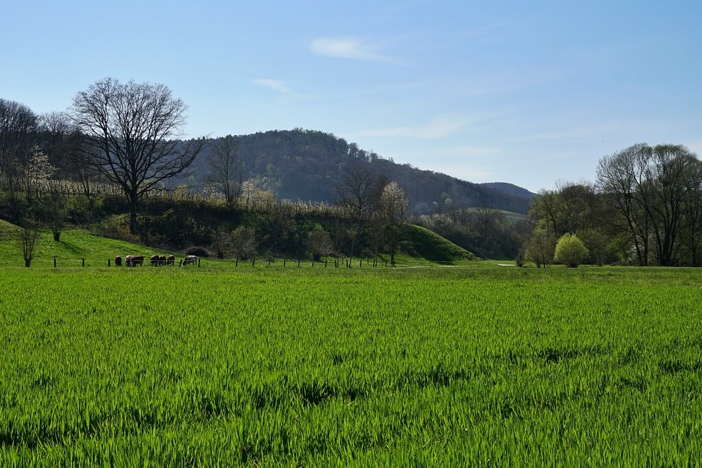 Auf dem Radweg durch das Steinbacher Tal wandern wir nach Untersteinbach