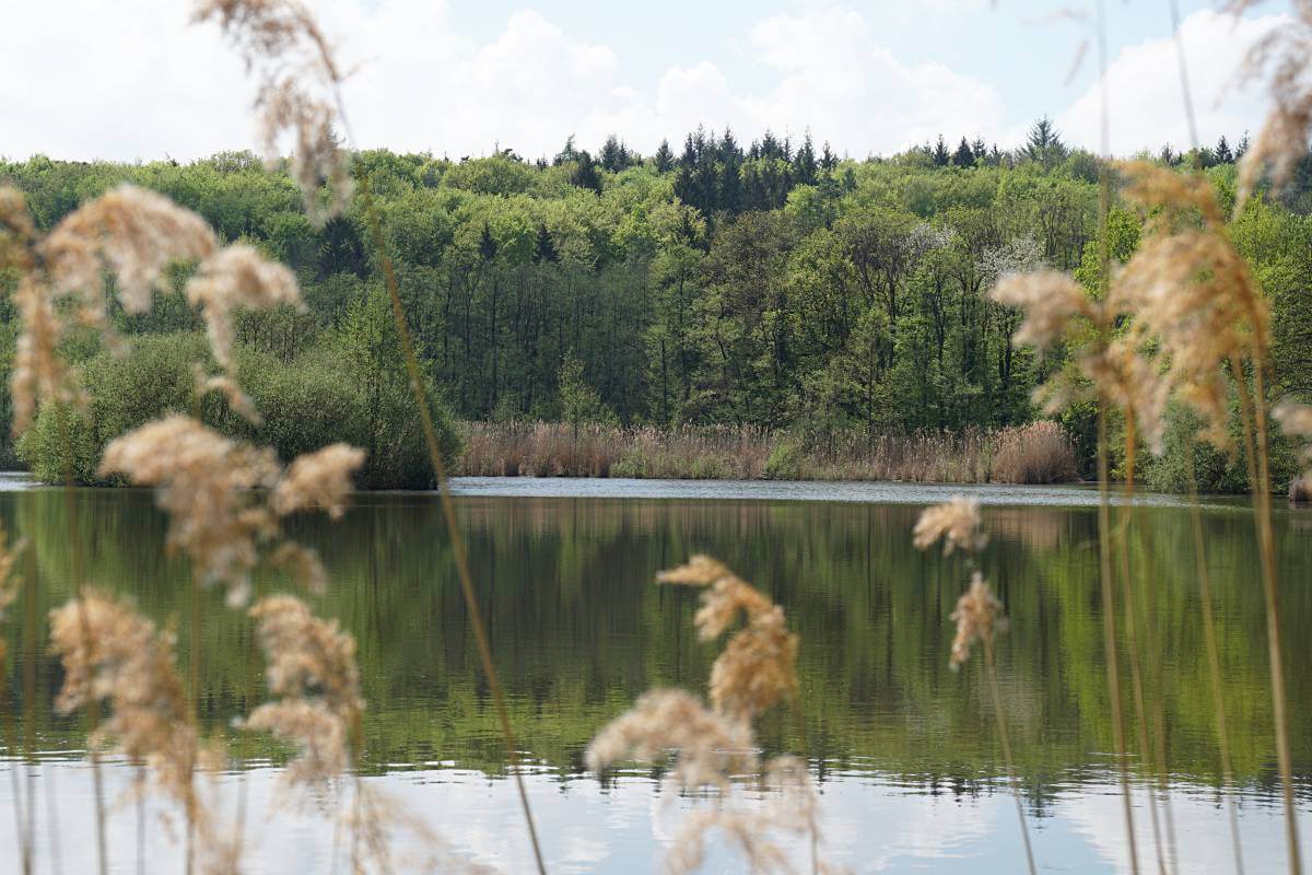 Der Gleichener See im Mainhardter Wald in Hohenlohe