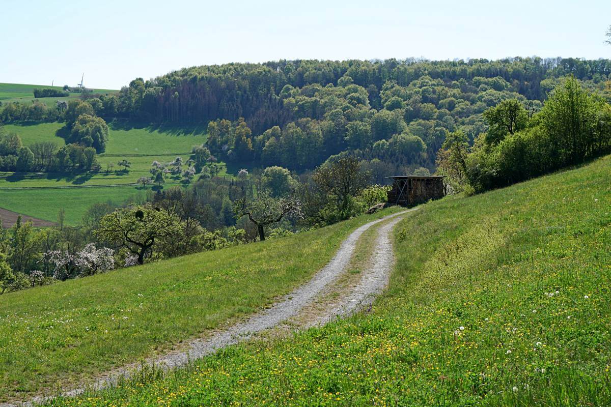 Wanderweg Pfad der Stille in Hohenlohe