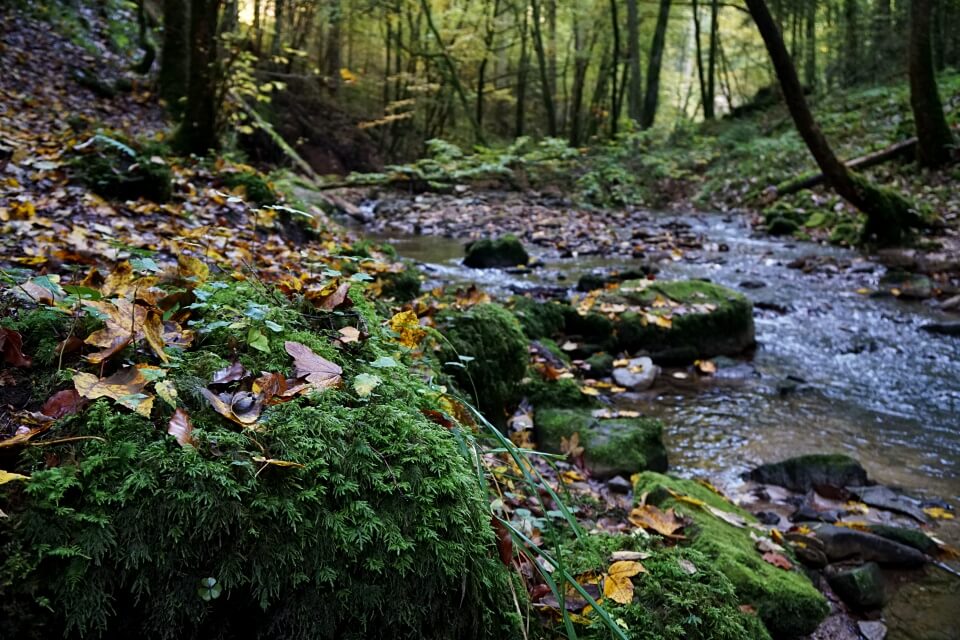 Wandern in der Wieslaufschlucht bei Welzheim auf dem Muehlenwanderweg