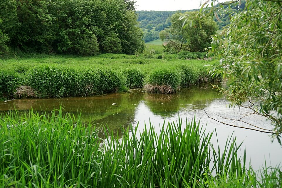 Die Jagst in Unterregenbach in Hohenlohe