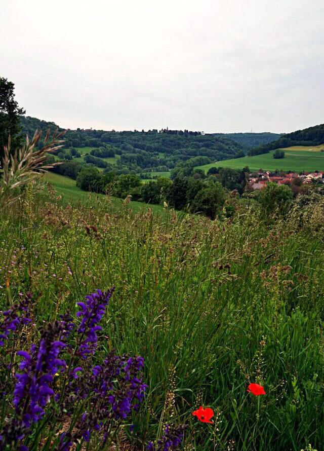 Blick ins Jagsttal