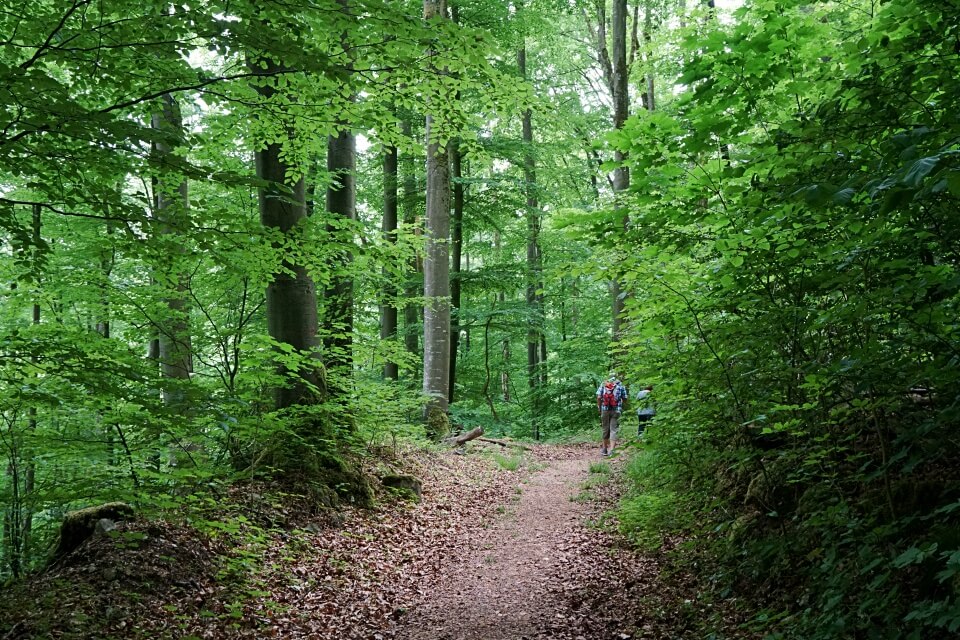 Wandern um Langenburg