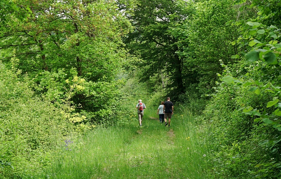 Wandern auf dem Panoramaweg Langenburg