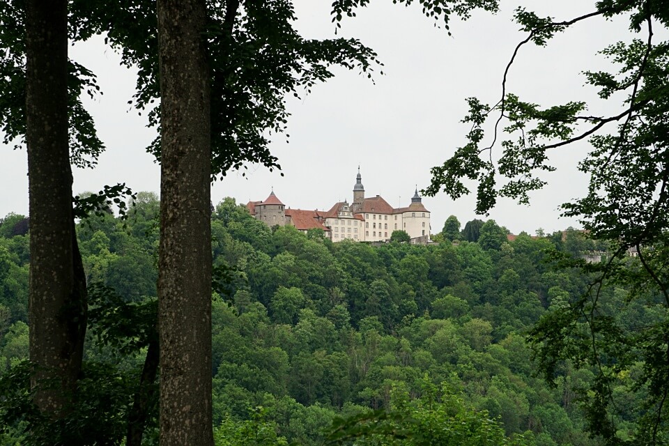 Blick auf Schloss Langenburg