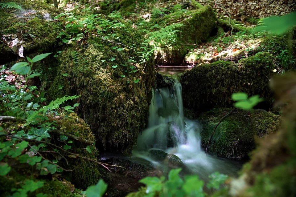 Wanderung Bernbachtal zwischen Loewenstein und Wuestenrot