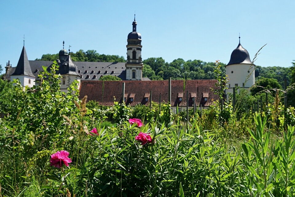 Blick vom Abteigarten auf das Kloster Schoental