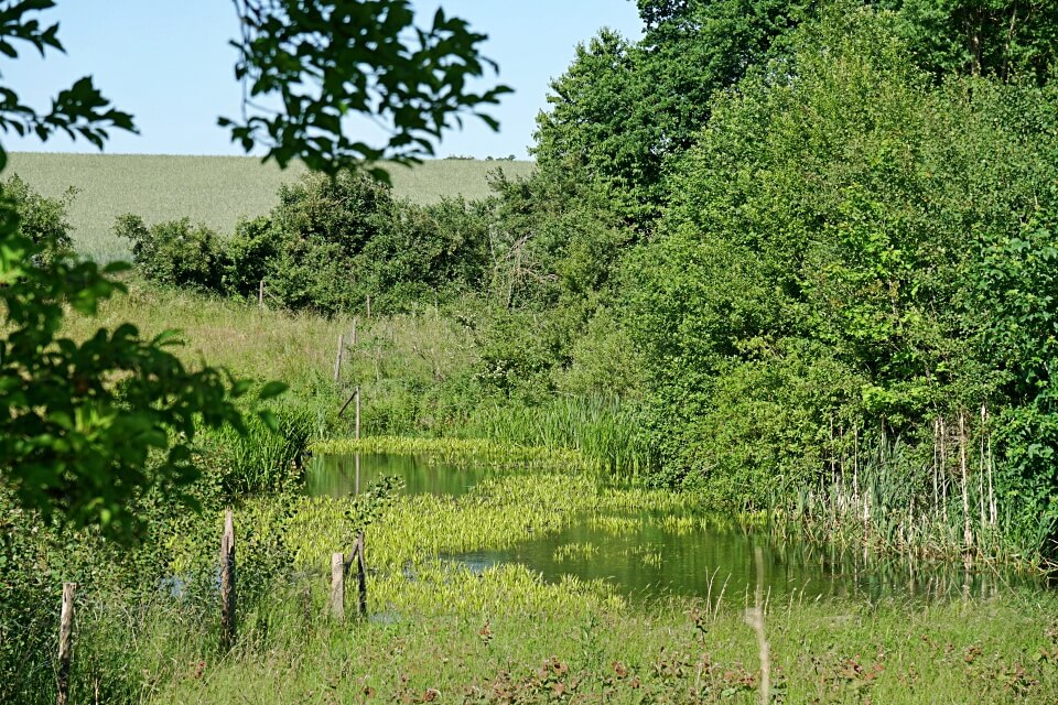 Fischteich Kloster Schoental