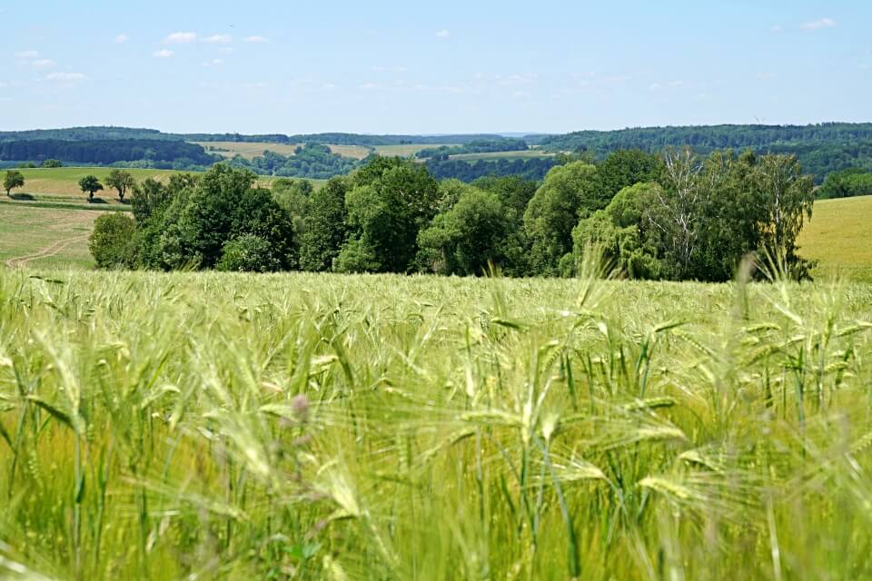 Ausblick auf Hohenlohe von Neusass bei Kloster Schoental