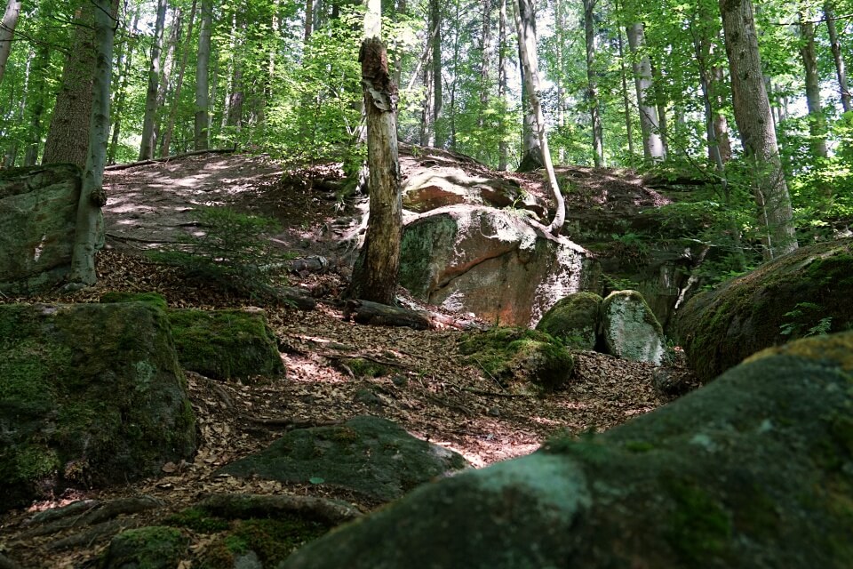 Felsen in der Tobelschlucht