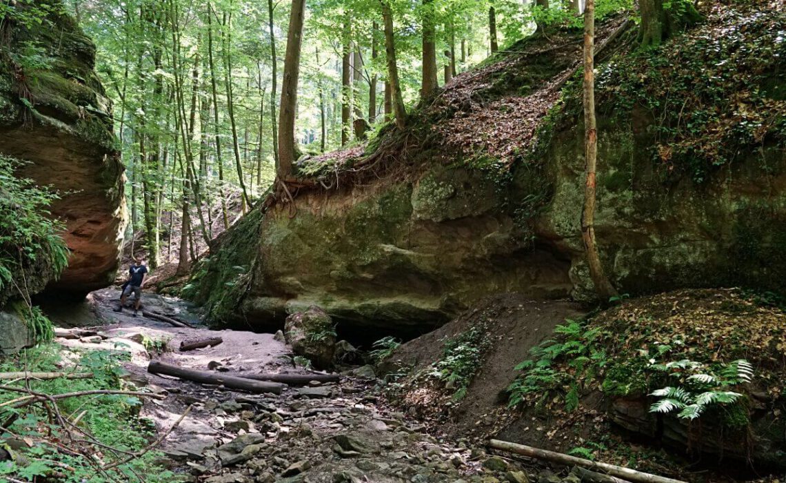 Wanderung durch Bodenbachschlucht und Tobelschlucht in den Loewensteiner Bergen