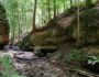 Wanderung durch Bodenbachschlucht und Tobelschlucht in den Loewensteiner Bergen