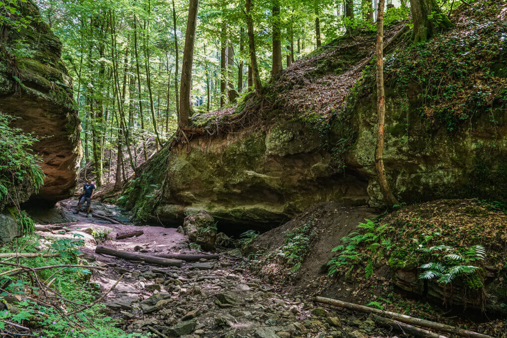 Wanderung durch Bodenbachschlucht und Tobelschlucht in den Loewensteiner Bergen