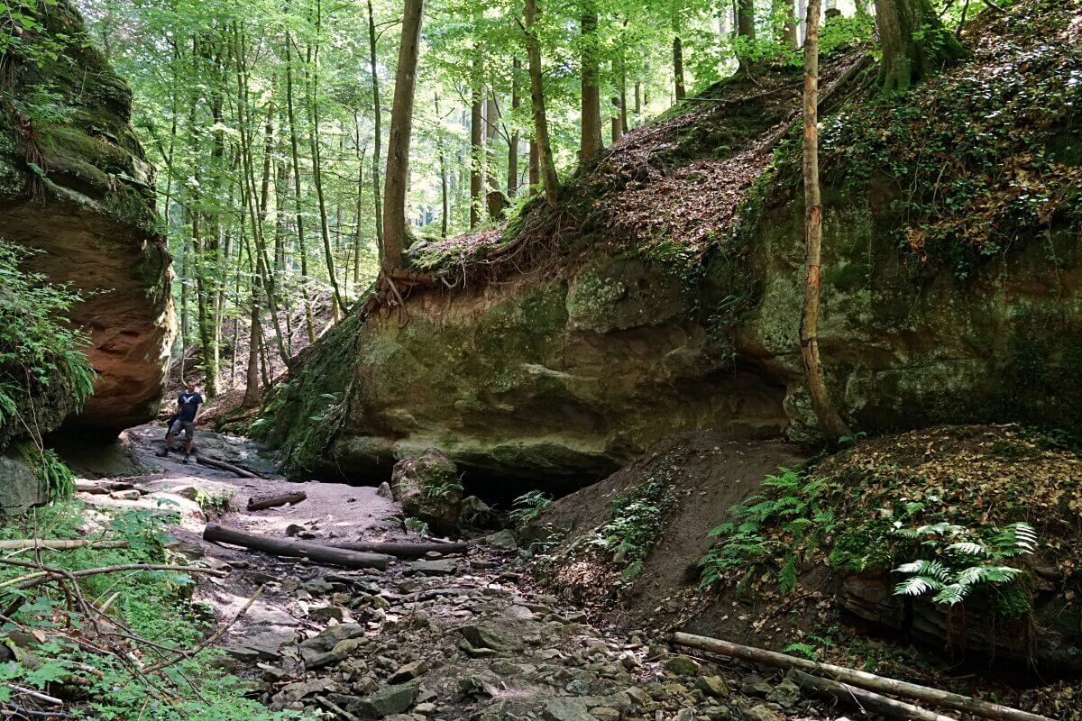 Wanderung durch Bodenbachschlucht und Tobelschlucht in den Loewensteiner Bergen
