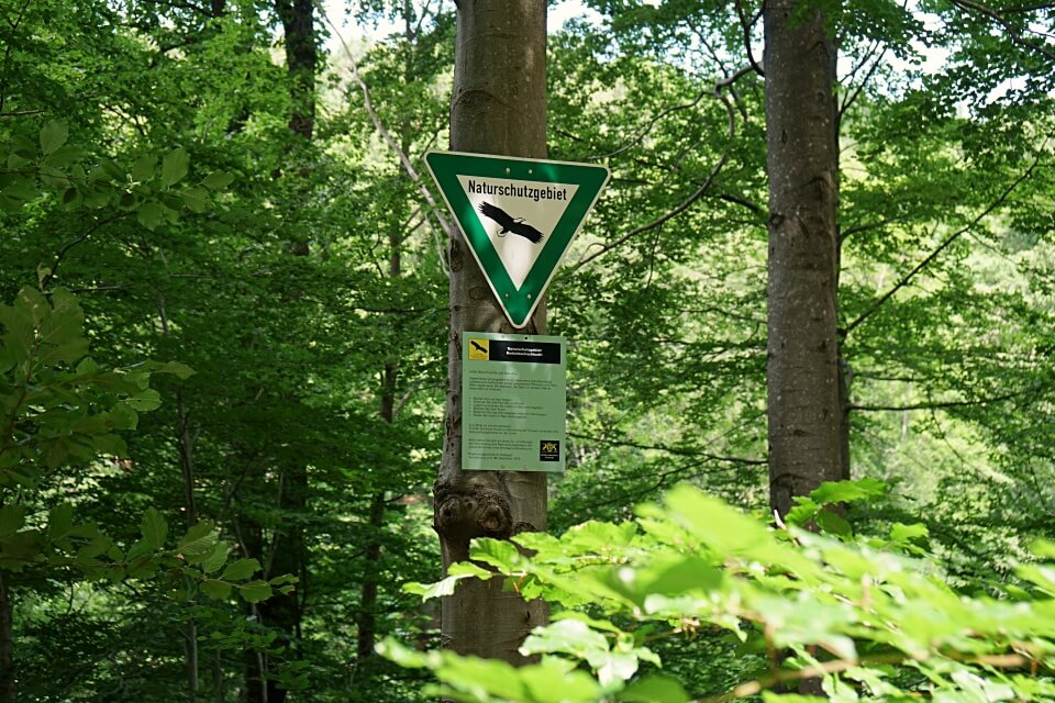 Naturschutzgebiet Bodenbachschlucht bei Wuestenrot im Schwaebisch Fraenkischen Wald 