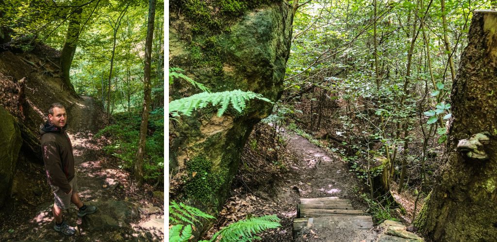 Auf schmalen Pfaden wandern wir durch die Bodenbachschlucht