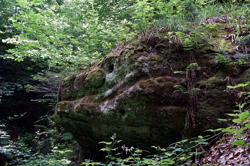 Felsen in der Bodenbachschlucht
