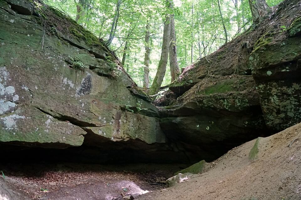Felsen in der Bodenbachschlucht