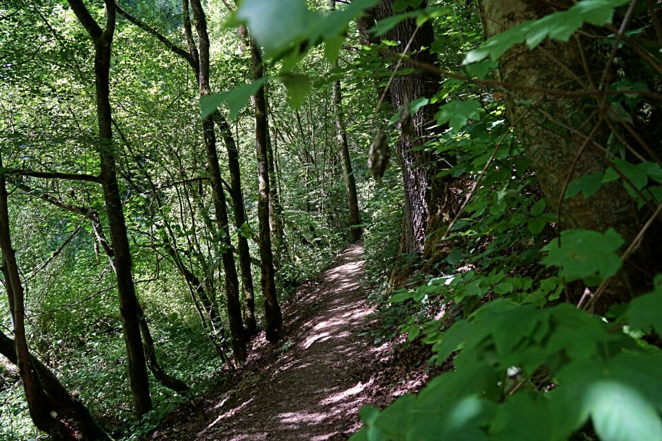 Tolle Pfade durch das Naturschutzgebiet Gronachtal in Hohenlohe