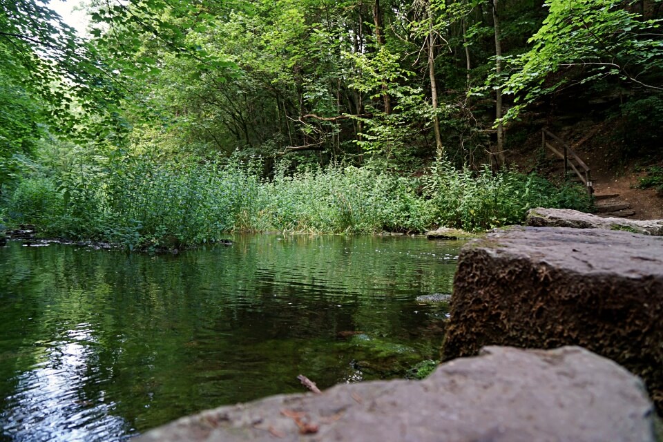 Beim Wandern im Gronachtal in Hohenlohe