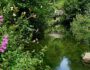 Wandern um Kirchberg an der Jagst in Hohenlohe durch Gronachtal und Jagsttal