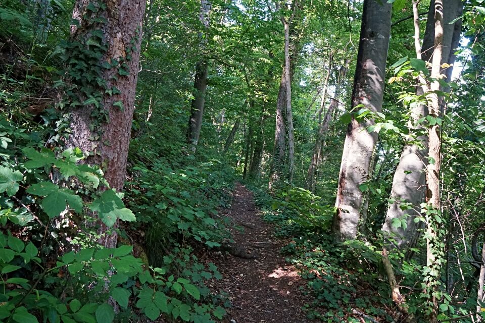 Jagststeig bei Kirchberg in Hohenlohe