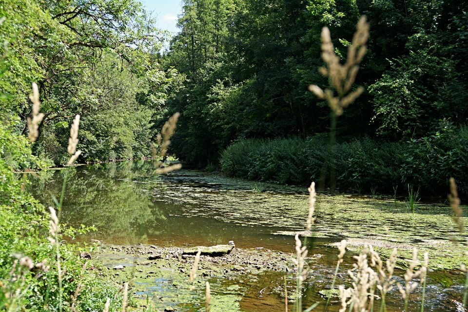 Muendung der Gronach in die Jagst 