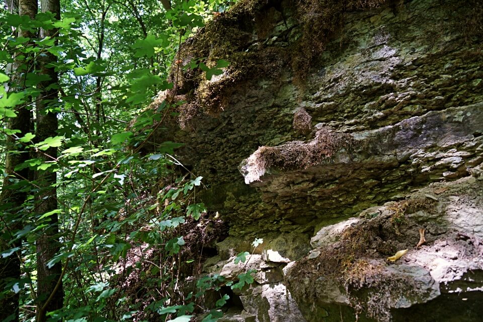 Muschelkalk beim Wandern im Gronachtal in Hohenlohe