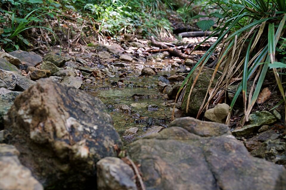 Dentelbach in der Tobelschlucht