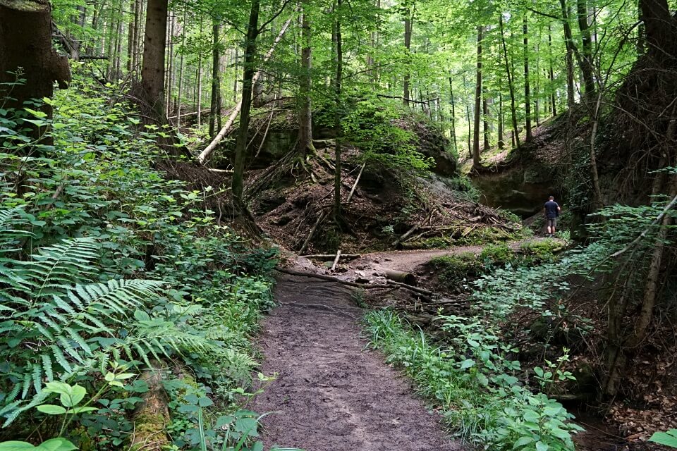 Wanderung auf tollen Pfaden durch die Tobelschlucht
