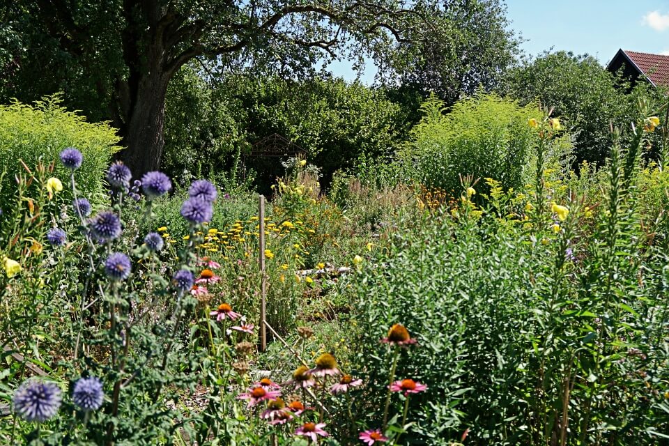 Garten im Freilandmuseum Wackershofen