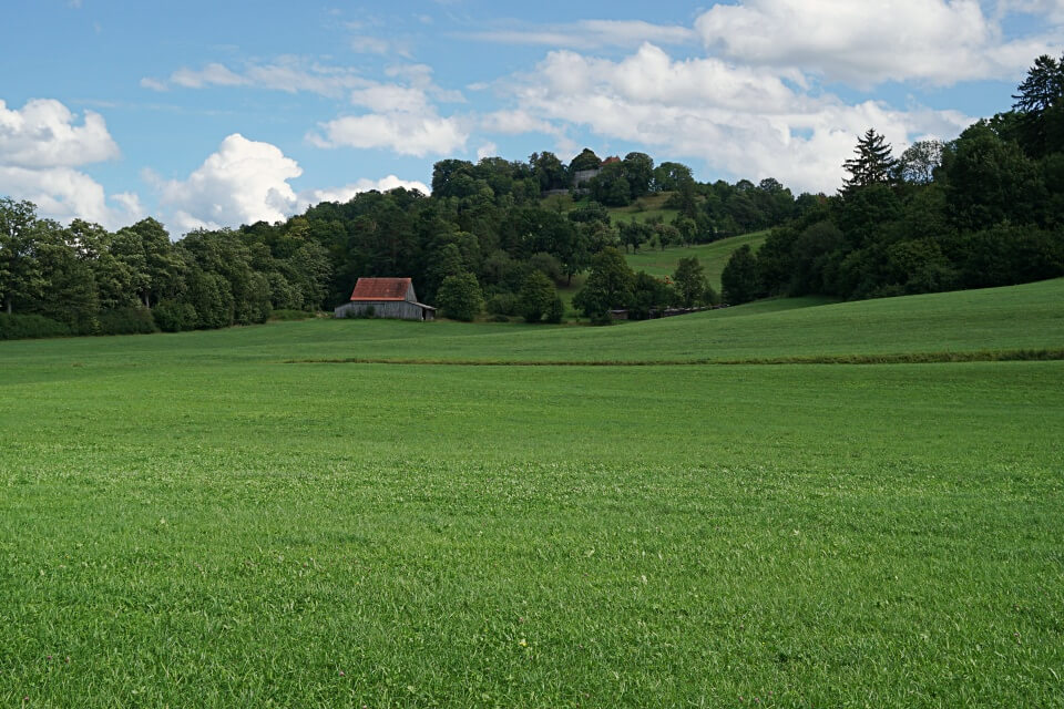 Die Tannenburg im Buehlertal