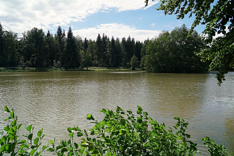 Der Haspelsee in den Limburger Bergen