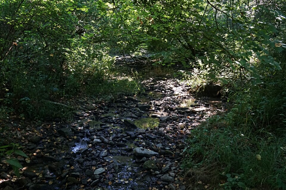 Beim Wandern im Steinbachtal um Rothenburg ob der Tauber