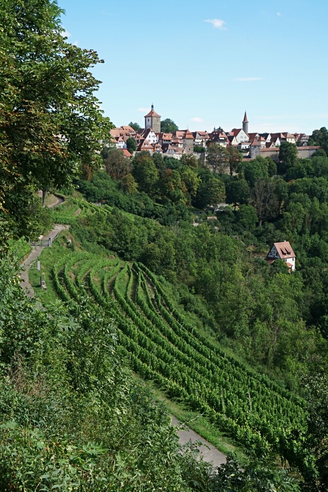 Die Rothenburger Riviera mit Weinberg An der Eich