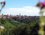 Ausblick auf dem Panoramaweg beim Wandern um Rothenburg ob der Tauber