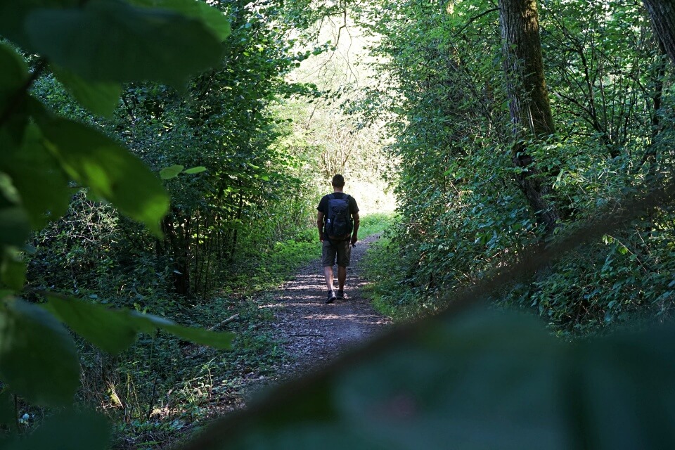 Beim Wandern im Steinbachtal um Rothenburg ob der Tauber