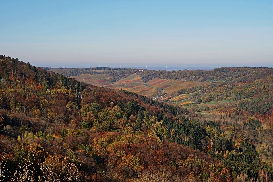 Ausblick von Burg Maienfels